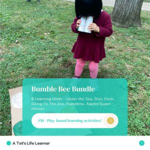 Bumble Bee Bundle – 6 Units